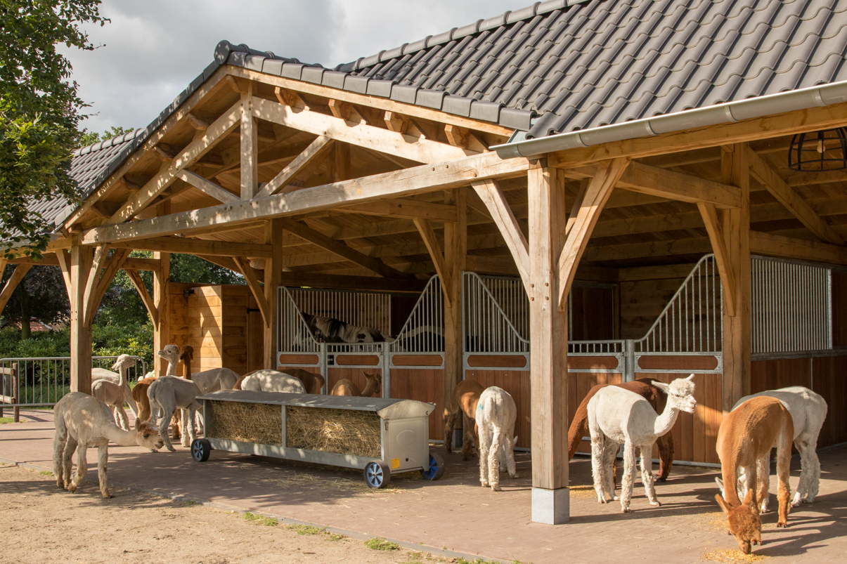 Dieren-alpaca-paard-eikenhout-tuinhuis