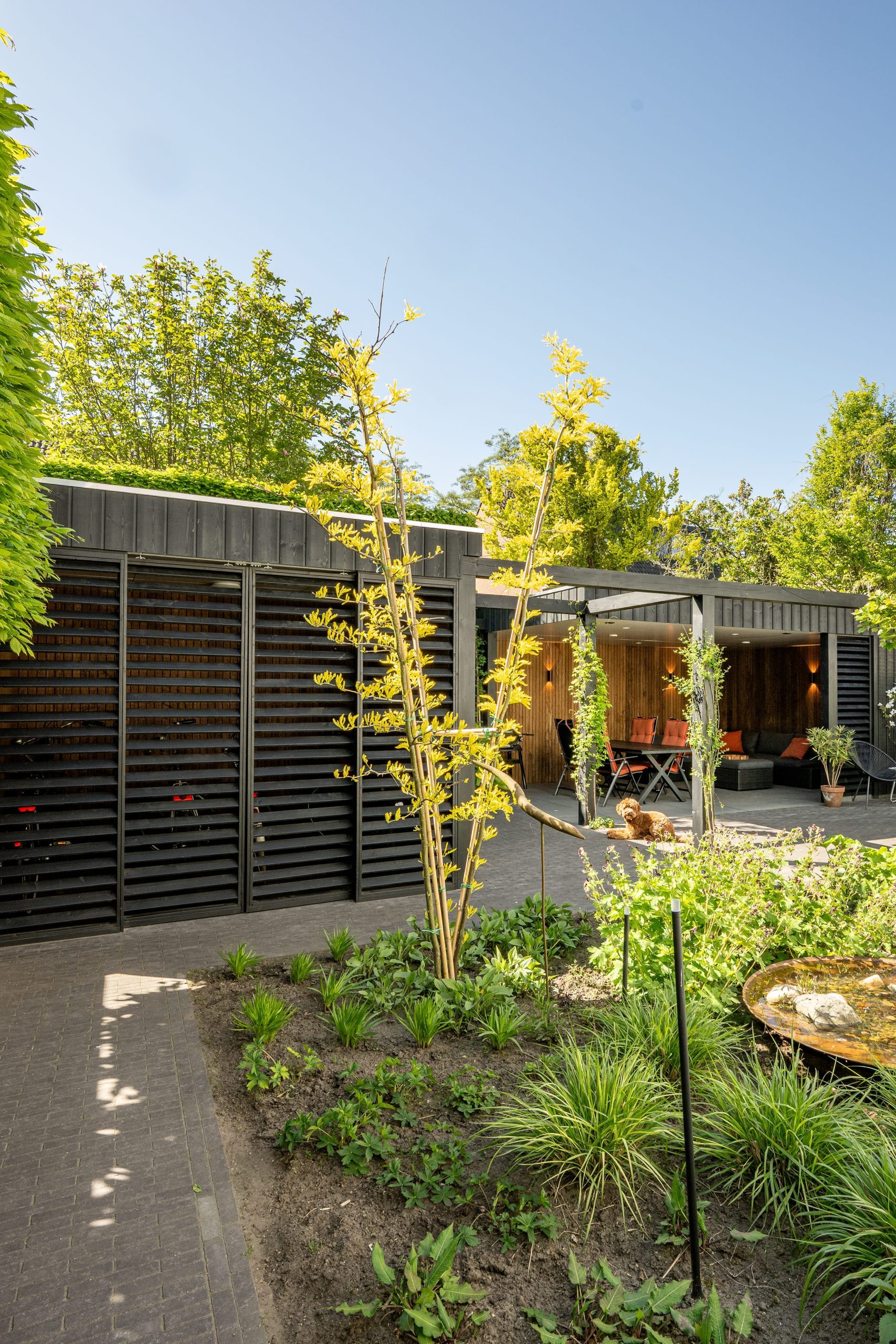 Moderne tuin met zwarte thermo vuren berging voorzien van louvredeurtjes en een thermo fraké overkapping.