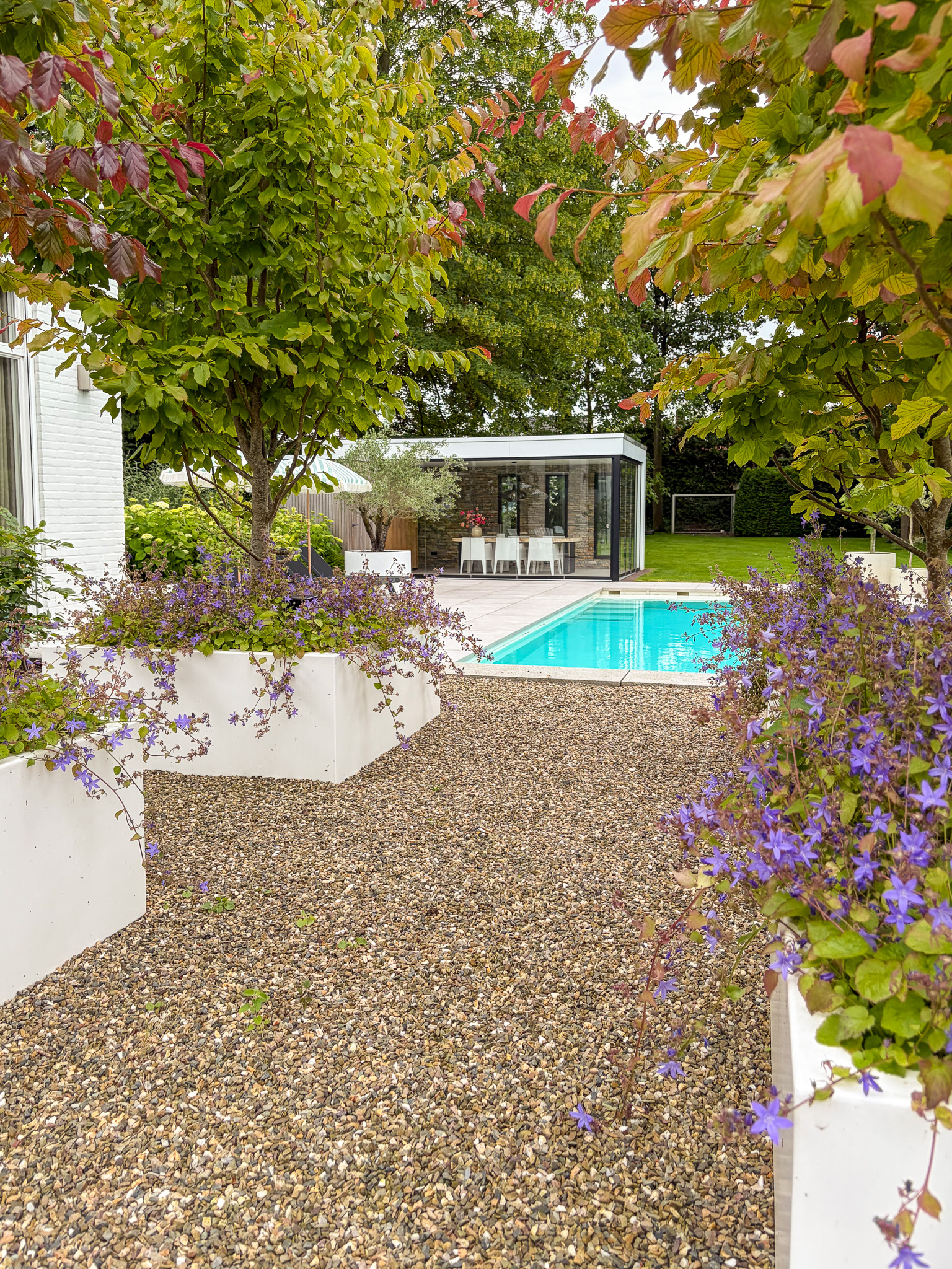 Zicht door een grindpad geflankeerd door witte bloembakken met paarse bloemen richting een modern turquoise zwembad en een glazen tuinkantoor.