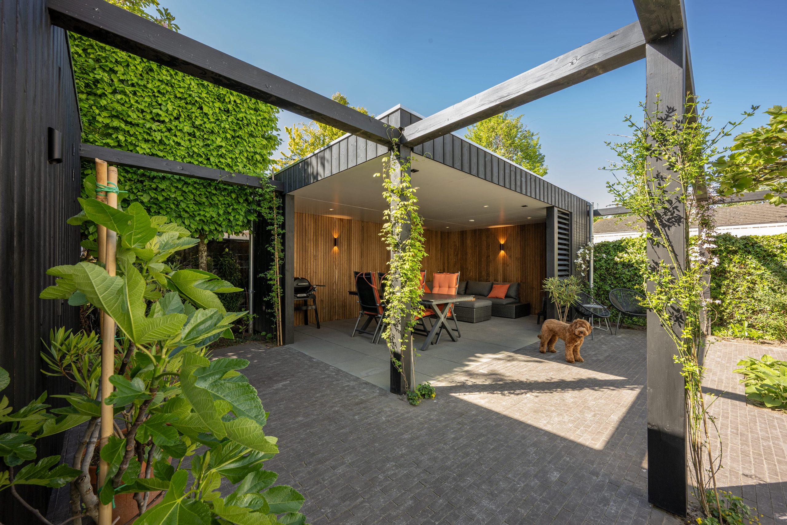 Moderne tuin met een luxe thermo fraké overkapping en een labradoodle in de zonnige tuin.