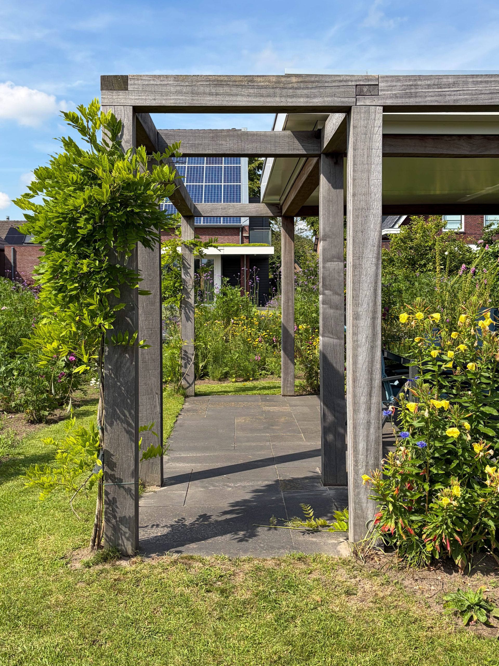 Zijaanzicht van een houten pergola bij een moderne tuinhuis met weelderige begroeiing en een betonnen tegelpad.