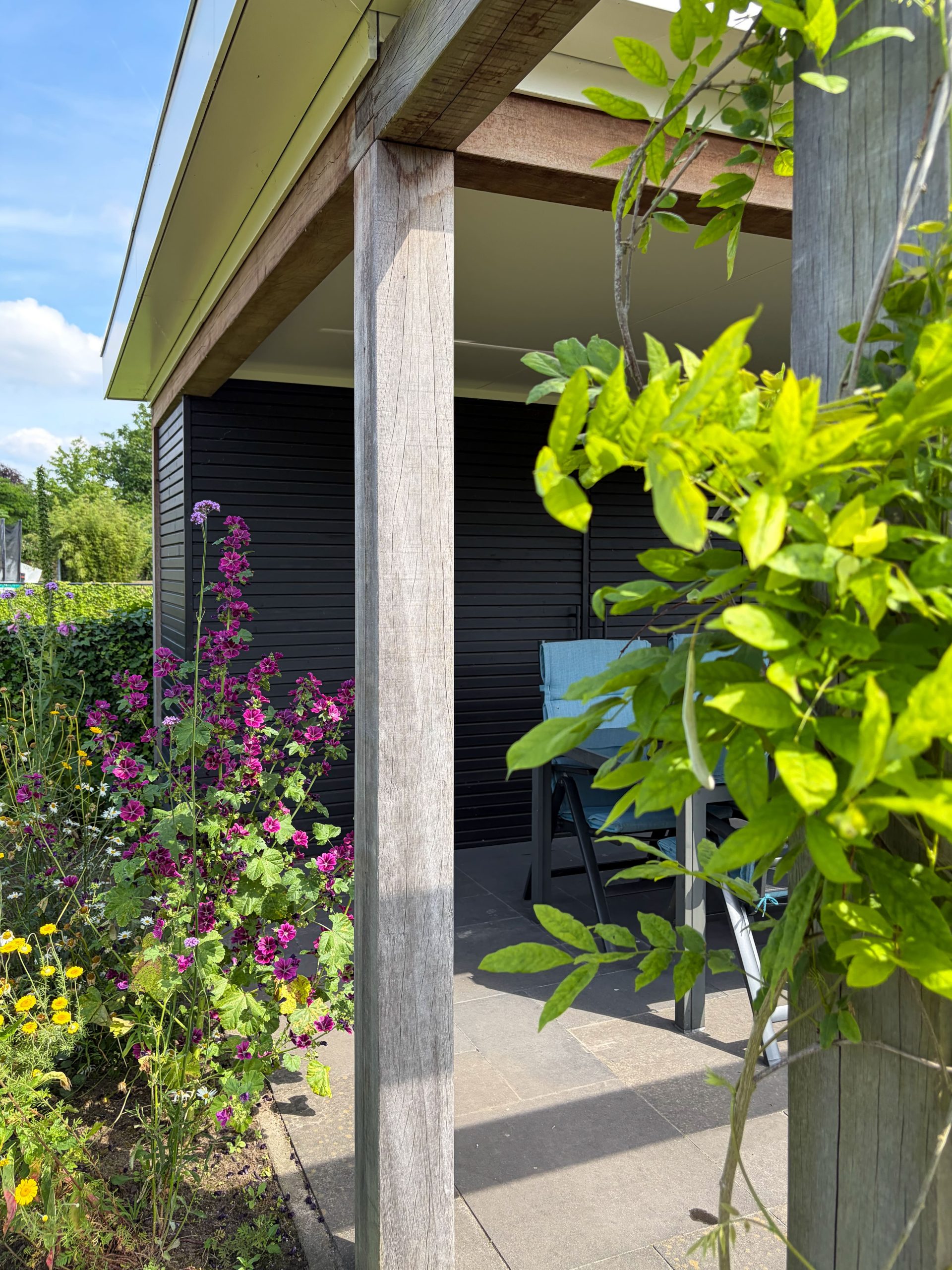 Groene klimplant en opvallende paarse bloemen naast de houten constructie en tuinset van een overkapping.