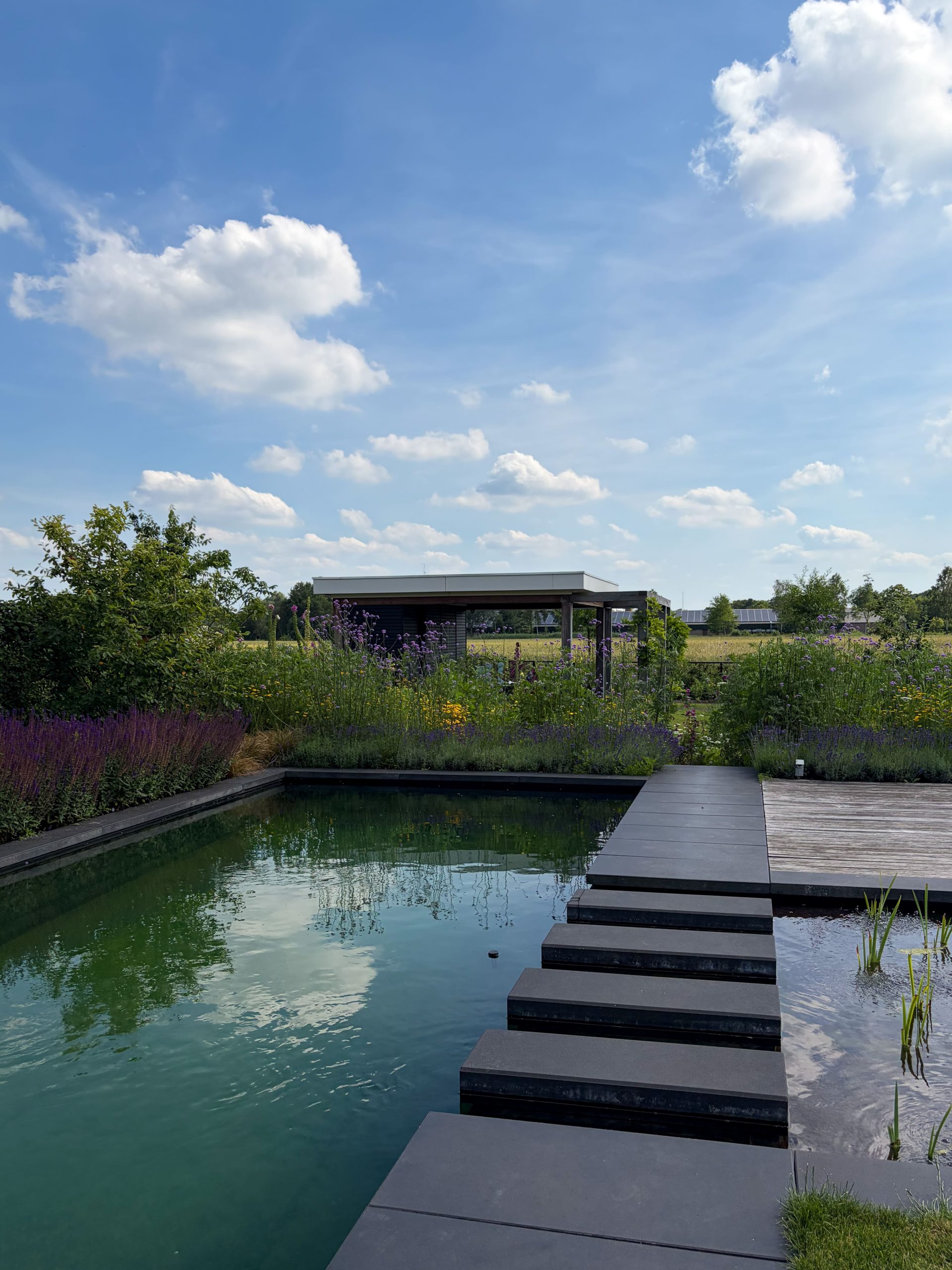 Natuurlijke zwemvijver met zwarte stapplaatsen door het water en zicht op het houten tuinhuis in de verte onder een blauwe lucht.