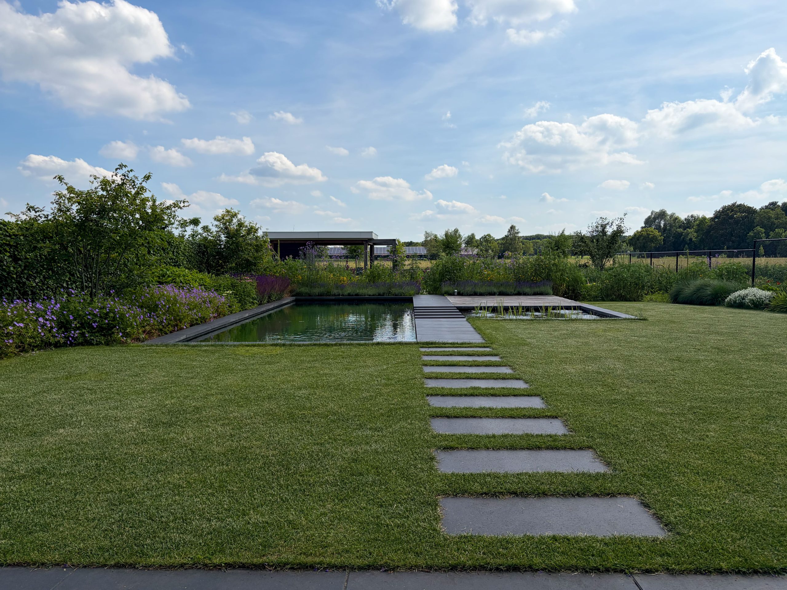 Overzicht van een strakke landtuin met een strak gazon, een natuurlijke zwemvijver en een houten overkapping achterin.