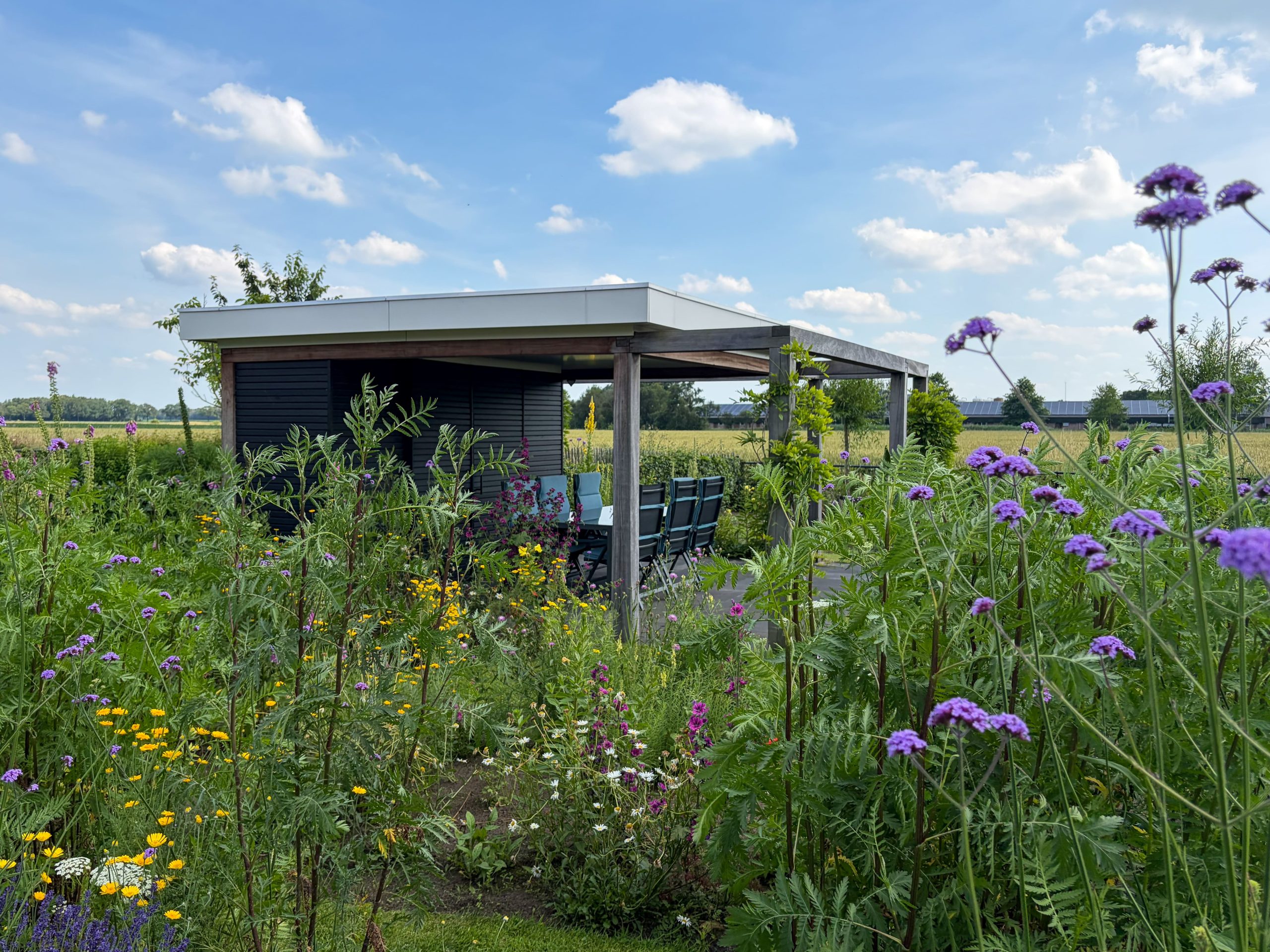 Weelderige natuurlijke bloementuin op de voorgrond met paarse en gele bloemen, met daarachter een moderne houten overkapping in een landelijke omgeving.